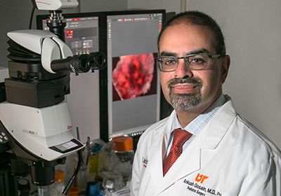 Untangling Neural Crest Cell Migration in Hirschsprung Disease