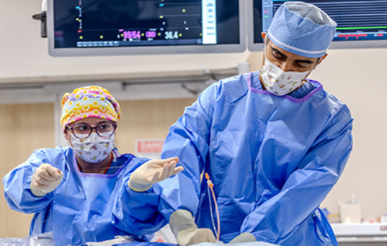 publication issue image